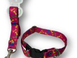 Collares placa tradilla