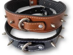 COLLAR TACHES PUNTAS