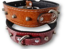 COLLAR TACHES REDONDOS