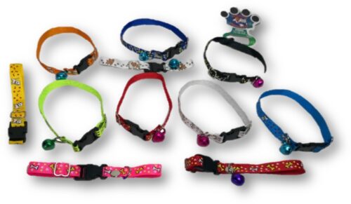 Collar para gato cinta