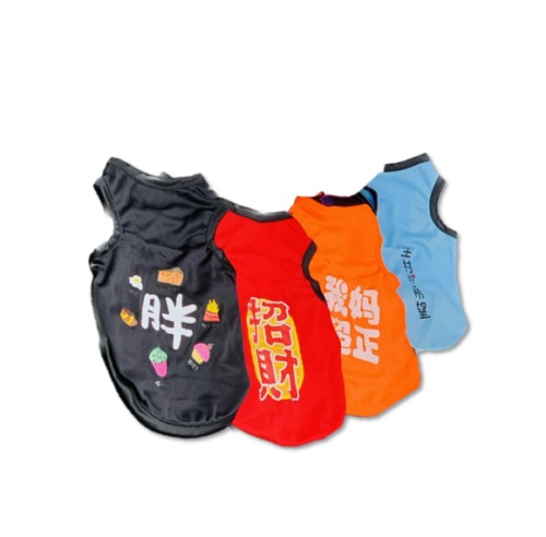 CAMISETA ESQUELETO