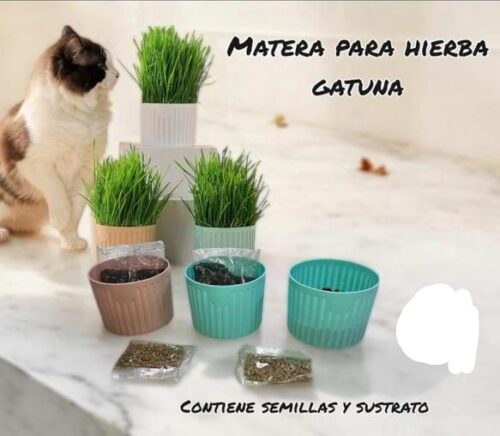 HIERBA PARA GATOS