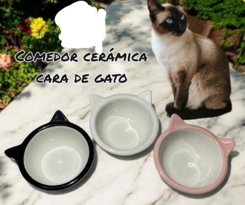 COMEDOR CERAMICA CARA DE GATO
