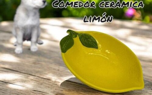 COMEDOR CERAMICA ESTILO LIMON