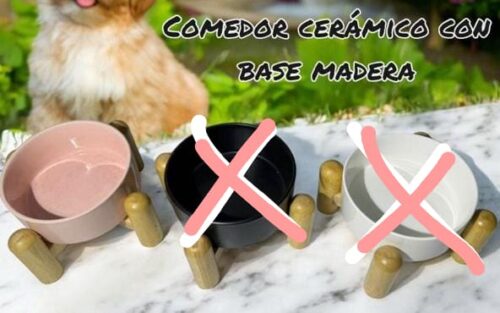 COMEDOR CERAMICA BASE EN MADERA