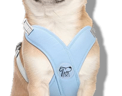 PECHERA PREMIUM EN X